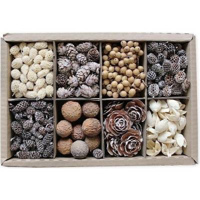Sušina mix box 640g natural