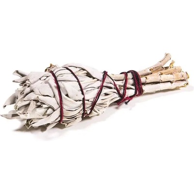 Mani Bhadra Bíla Šalvěj Tulipán 10-20 g – Zboží Mobilmania