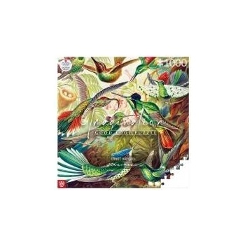 Good Loot Puzzle Imagination 1000 Ernst Haeckel - Hummingbirds
