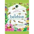 Peep Inside a Beehive