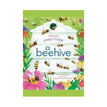 Peep Inside a Beehive