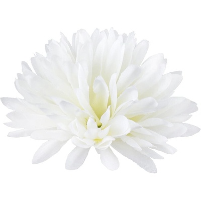 Chryzantéma hlava Ana 12 cm Cream 24 ks/bal