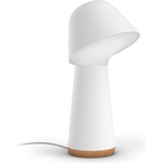 Philips Hue Twilight