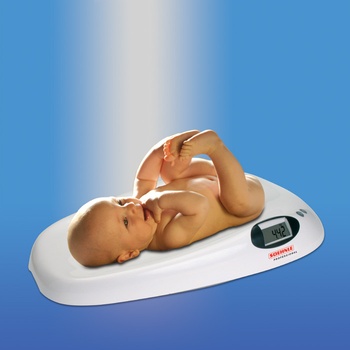 Soehnle Professional 8310