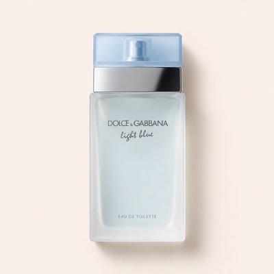 Dolce & Gabbana Light Blue toaletní voda pánská 100 ml – Hledejceny.cz