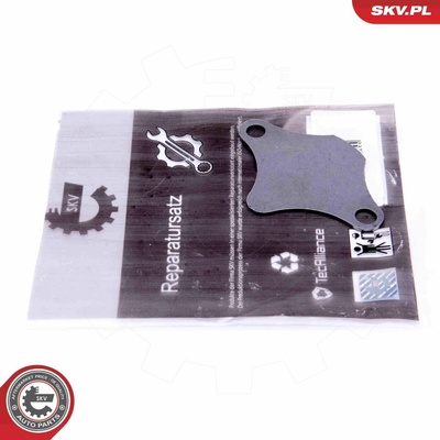 Súprava na opravu, ventil AGR ESEN SKV 14SKV520