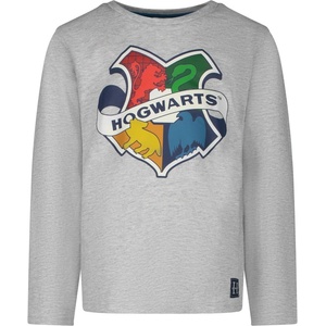 Harry Potter Блуза с дълъг ръкав Harry Potter Hogwarts Grey, размер 128 (DG-HPTR-032_128)