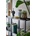 Bloomingville Декоративна купа Bloomingville Harmonia 100 ml (82069358)