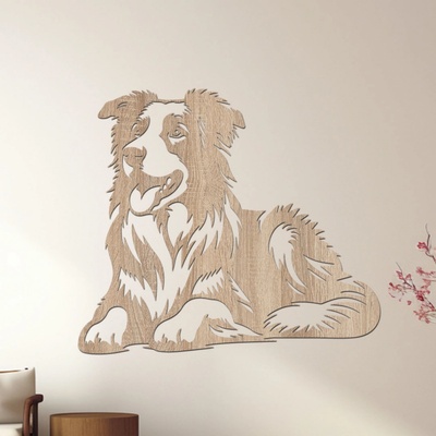 dřevo života Dřevěná dekorace psa BORDER COLLIE Rozměry (cm): 60x51, Zvolte barvu dekoru: Dub Sonoma