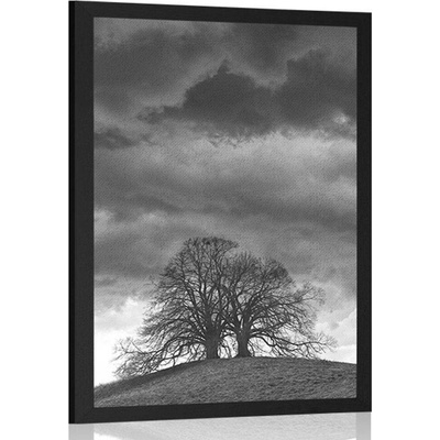 Plakát černobílé osamělé stromy - 60x90 no frame