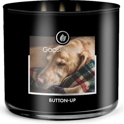 Goose Creek MEN'S COLLECTION BUTTON UP 410g