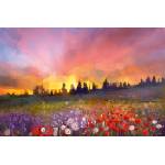 DIMEX ART Флизелинов фототапет картина - цветна поляна 375 x 250 см