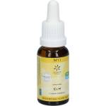 Lemon Pharma Elm Цветна есенция N°11, 20 ml, Lemon Pharma (181113 (900111) LP)