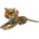 Leopard 30 cm