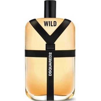 Dsquared2 Wild Toaletná voda pánska 100 ml Tester