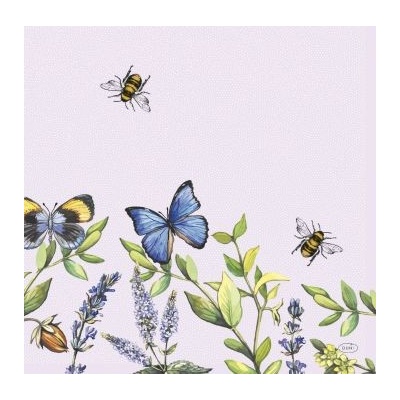 Dunisoft Ubrousek CHEERY BUTTER 40x40cm