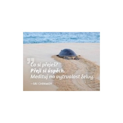 Magnet na lednici Medituj na Úspěch - Sri Chinmoy Ostatní