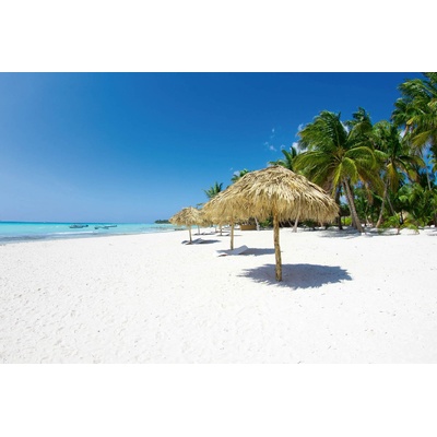 DIMEX ART Флизелинов фототапет плаж с палми 375 x 250 см