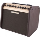 Fishman Loudbox Mini