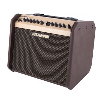 Fishman Loudbox Mini