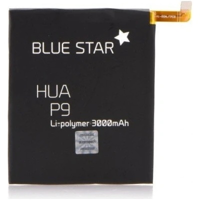 Blue Star BTA-HUP9