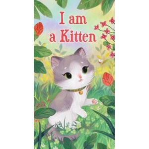 I am a Kitten | Ole Risom, Olivia Chin Mueller (ISBN: 9781524767297)