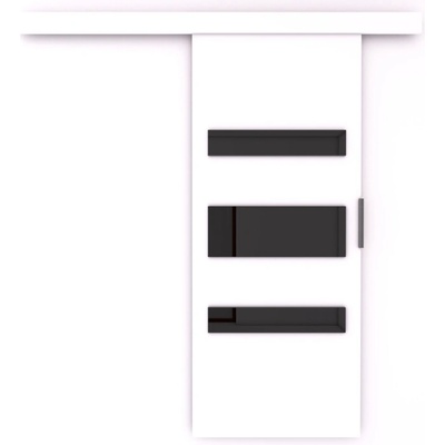 Sconto Posuvné dvere DESIO 86 biela/čierna 86x205 cm