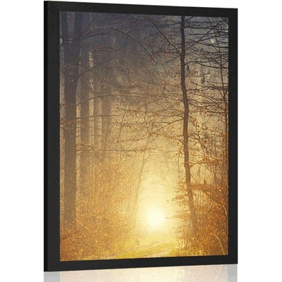 Plakát světlo v lese - 20x30 white