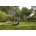 Black & Decker BEMW461BH