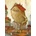 Heye - Puzzle Neighborhood - 1 000 piese