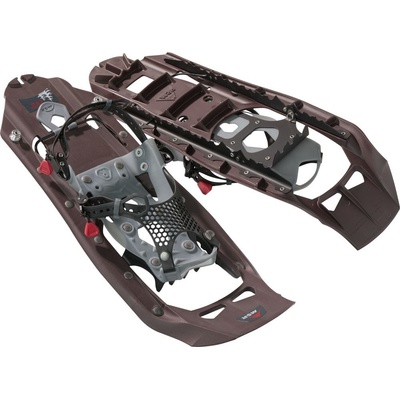 MSR Evo Trail 22 Iron