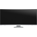 Eizo EV3895