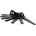 Black Diamond LOST ARROW PITON
