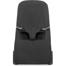 Kidnort Vinbär čierne