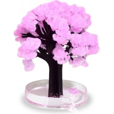 TMN Čarovný strom Sakura