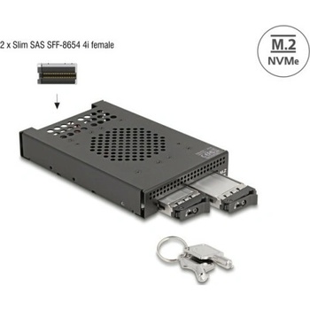 Delock 47117