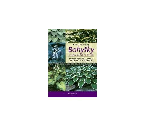 Bohyšky