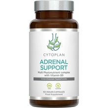 Cytoplan Adrenal support komplex pro nadledviny 60 vegan kapsúl