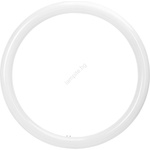 Aigostar LED флуоресцентна тръба G10q/20W/230V 6500K - Aigostar (AI2874)