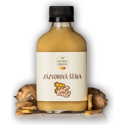 Natural Protein Zázvorová šťáva 100 ml – Zboží Mobilmania