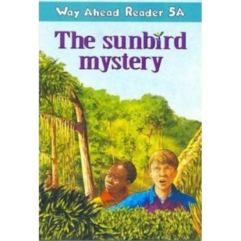 Way ahead Reader