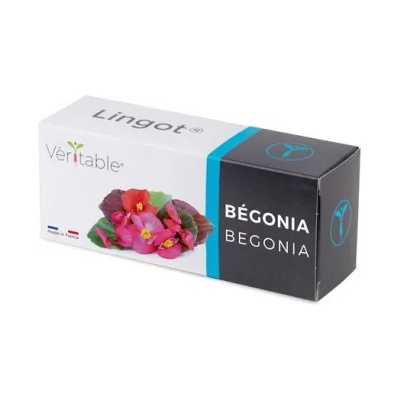 veritable Семена Ядлива Бегония VERITABLE Lingot® Begonia (VLIN-F5-Beg05B)
