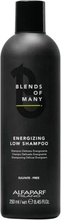 ALFAPARF Milano Blends of Many energizáló sampon 250 ml