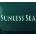 Sunless Sea
