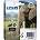 Epson T2435