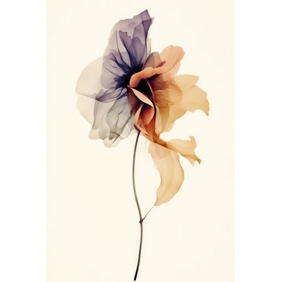 Plagát, Obraz - Chiffon Flower, Treechild, 26.7 × 40 cm