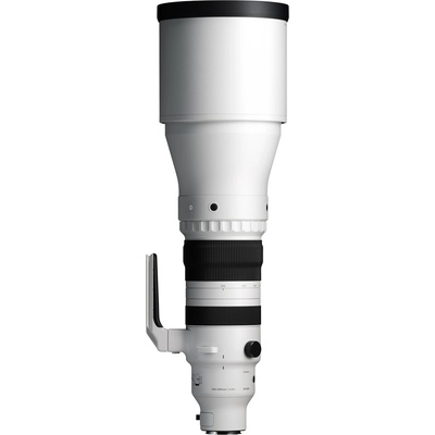 Sigma 300-600 mm f/4 DG OS Sports pre Sony E