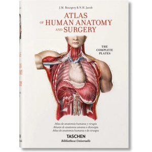 Bourgery. Atlas de anatomía humana y cirugía | Le Minor, Jean-Marie, Sick, Henri (ISBN: 9783836556637)