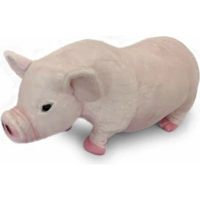 prase růžové 70cm