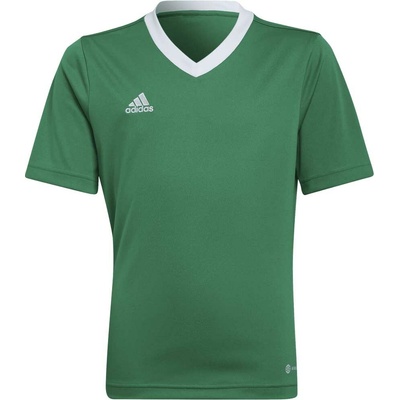 adidas ENTRADA 22 JERSEY Zelená Bílá